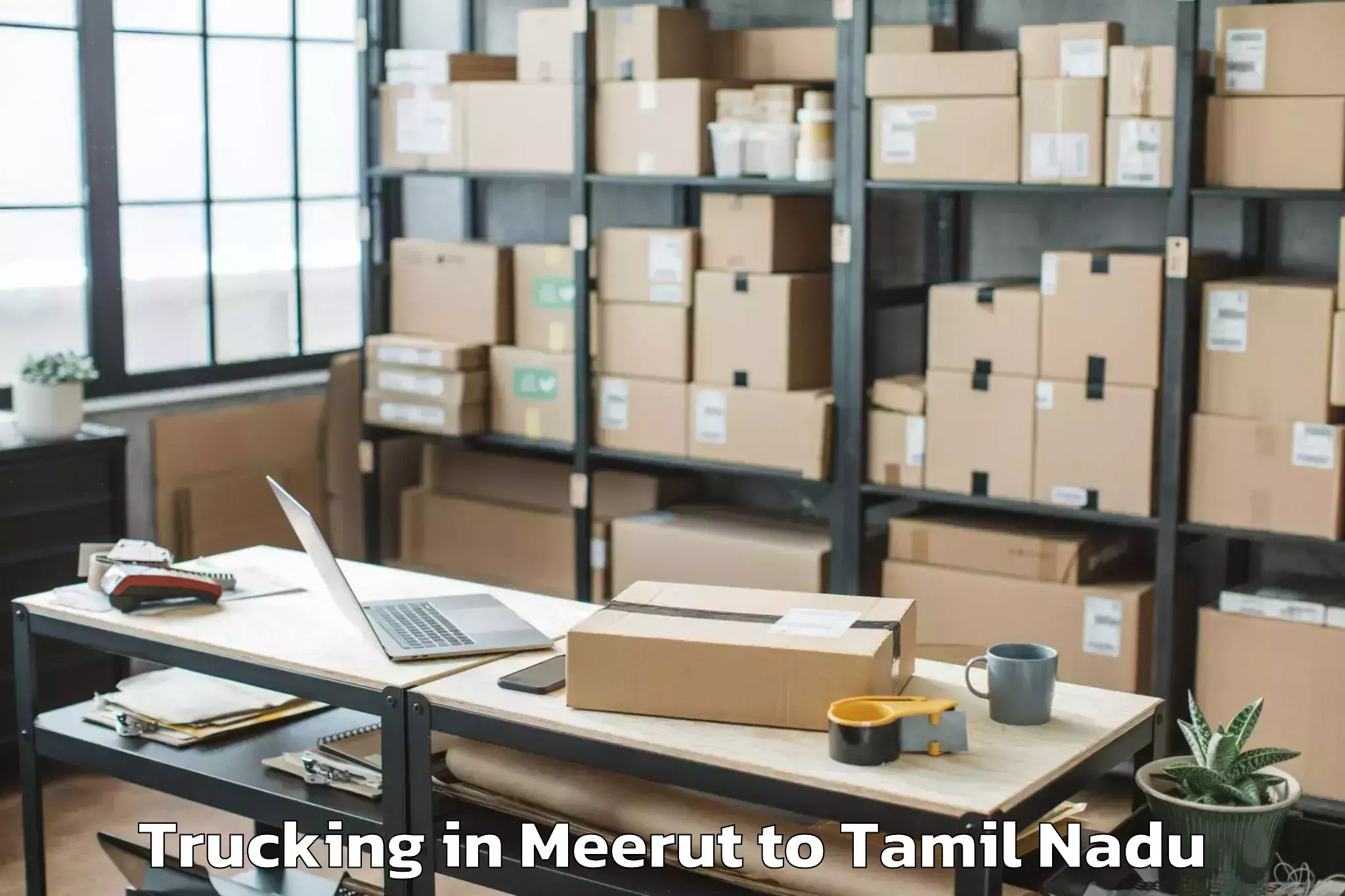 Book Meerut to Pallappatti Trucking Online